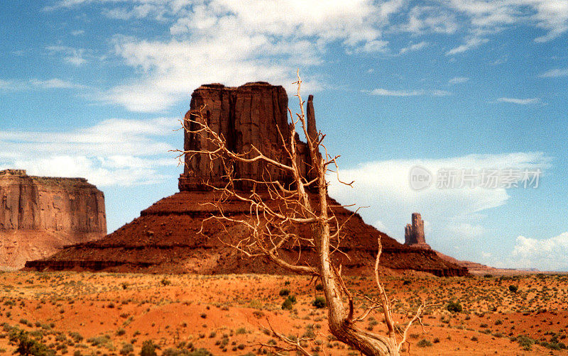 西Mitten Butte，纪念碑谷，亚利桑那州-犹他州